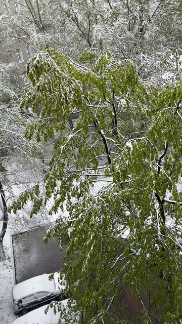 Зима в мае?😱❄️