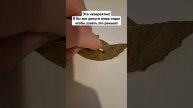 Это невероятно! Я бы все деньги мира отдал чтобы узнать это раньше!