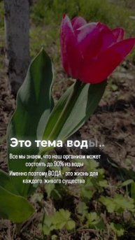 Биодоступная вода, правильная вода
