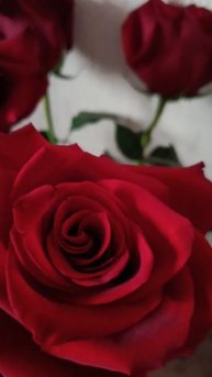 20 лет со дня свадьбы. Фарфоровая свадьба