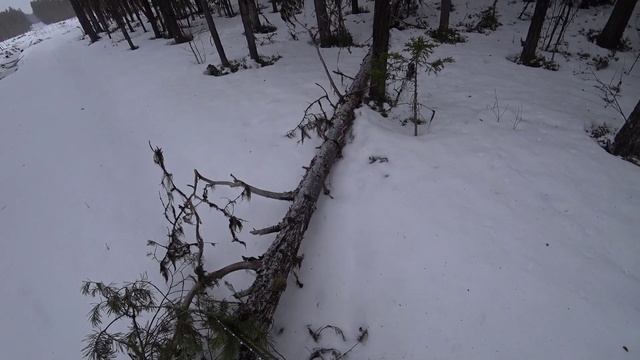 Утренний ветер мне не нравится, надо быстро выбирается. Возвращаюсь на первую избу. 5 серия