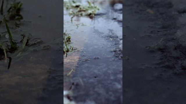 Снегопад 1.05.2025