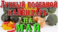 Лунный посевной календарь на май 2025 года