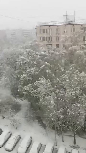 Москву и Московскую область накрыл снегопад.
https://t.me/novostinanta