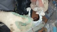 Обзор разбор и взвешивание цветного и чëрного металлов.