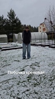 Хреновая была идея перенести февральские праздники на майские