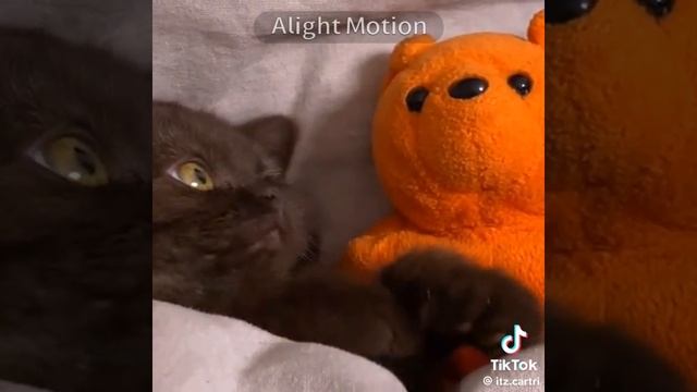1000005853.mp4