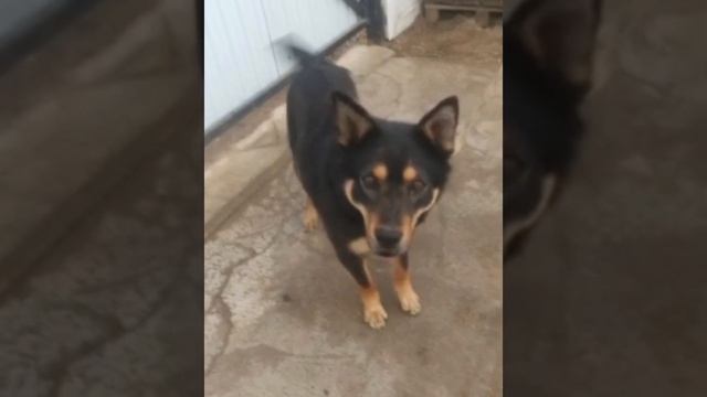 Скоро удалю