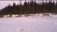ЩУКА РВЕТ ЛЕСКУ! ЧАСТЬ 2. 23.04.2025 Г.