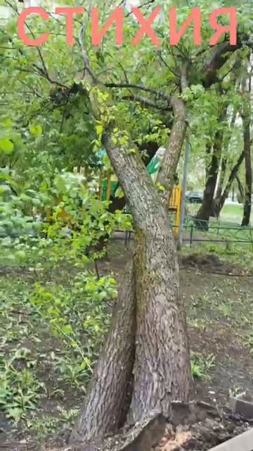 Москва зима в мае