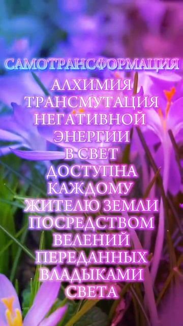 1000065830.mp4