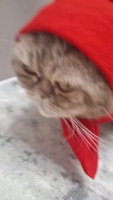 ЗОВУТ МЕНЯ НАСТЕЙ)))