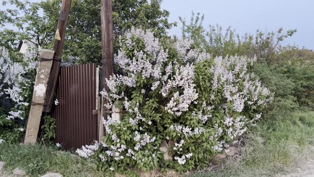 Ставьте перед собой нереальные цели -
не достигните, ну и хрен с ними, - они же
нереальные!
