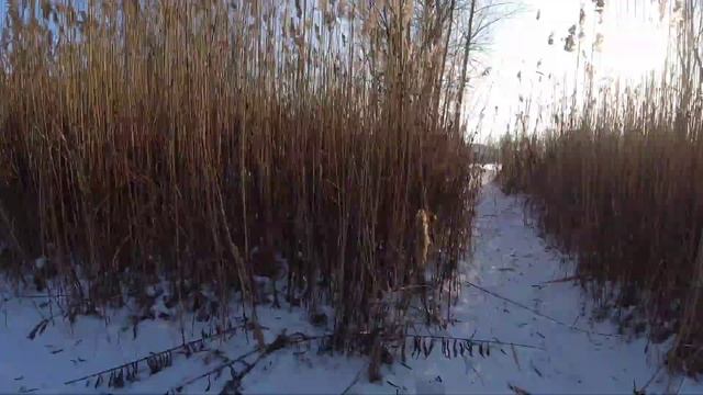 Dji Osmo action на авто настройках💪