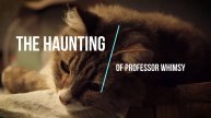 Story # 24: The Haunting of Professor Whimsy