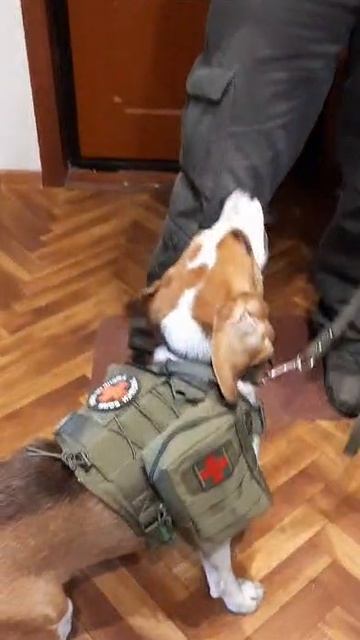 Боба и военные сборы.mp4