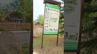 Прогулка по парку музею Победы. Саратов 2025 год .