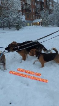 Зиму перезимовали и Весну перезимуем 😉