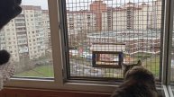 САНКТ-ПЕТЕРБУРГ. ОЖИДАЕТСЯ СНЕГ. НАДЕЕМСЯ НА НЕ ЖАРКОЕ ЛЕТО.