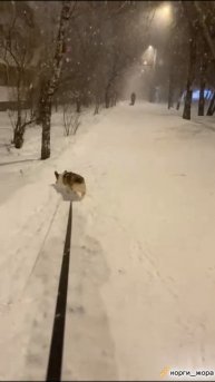 На прогулке😌