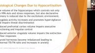 HPA Axis Dysfunction & Mood _ Exploring the Mind Body Connection