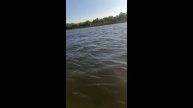 Огромная рыбка на Волге. Рыбалка с лодки в Астрахани