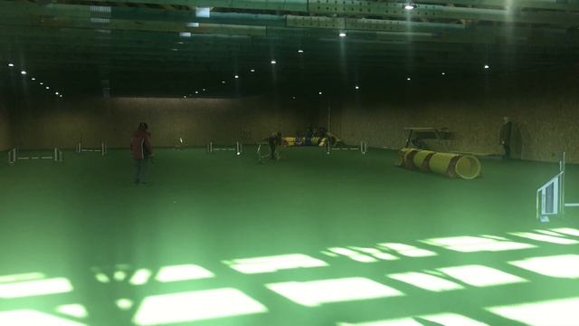 17.03.2018 Джампинг 0, трасса 1 / Jumping 0, course 1