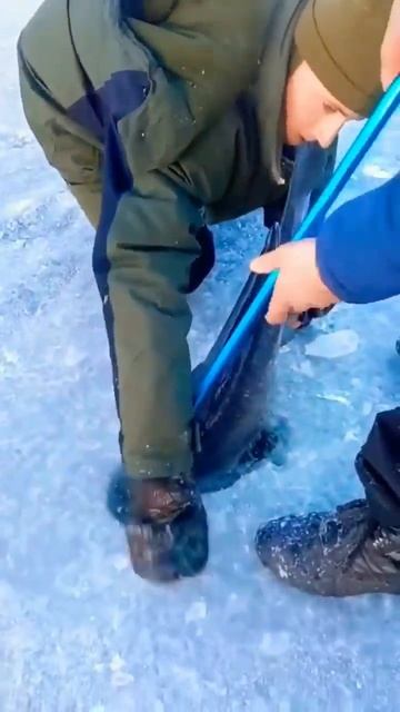 А вам слабо
