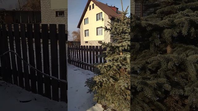Просто Жанна