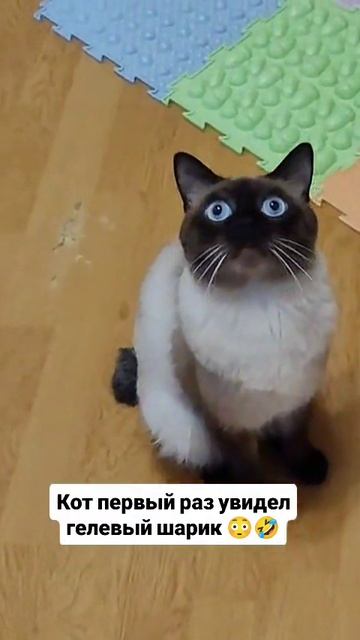 увидел гелевый шарик