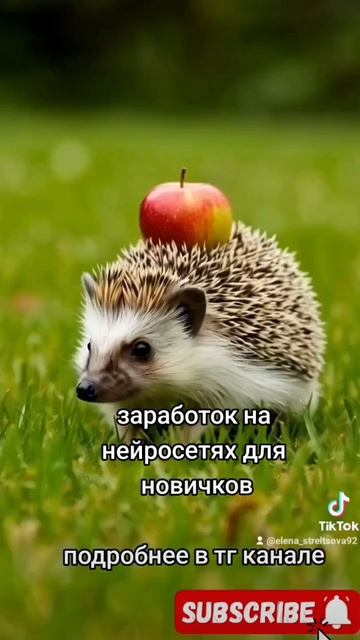 заработок в интернете