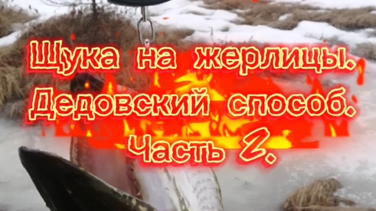 ЩУКА РВЕТ ЛЕСКУ! ЧАСТЬ 2. 23.04.2025 Г.