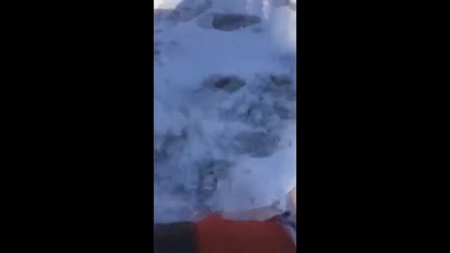 Щенок, который обожает снег!
