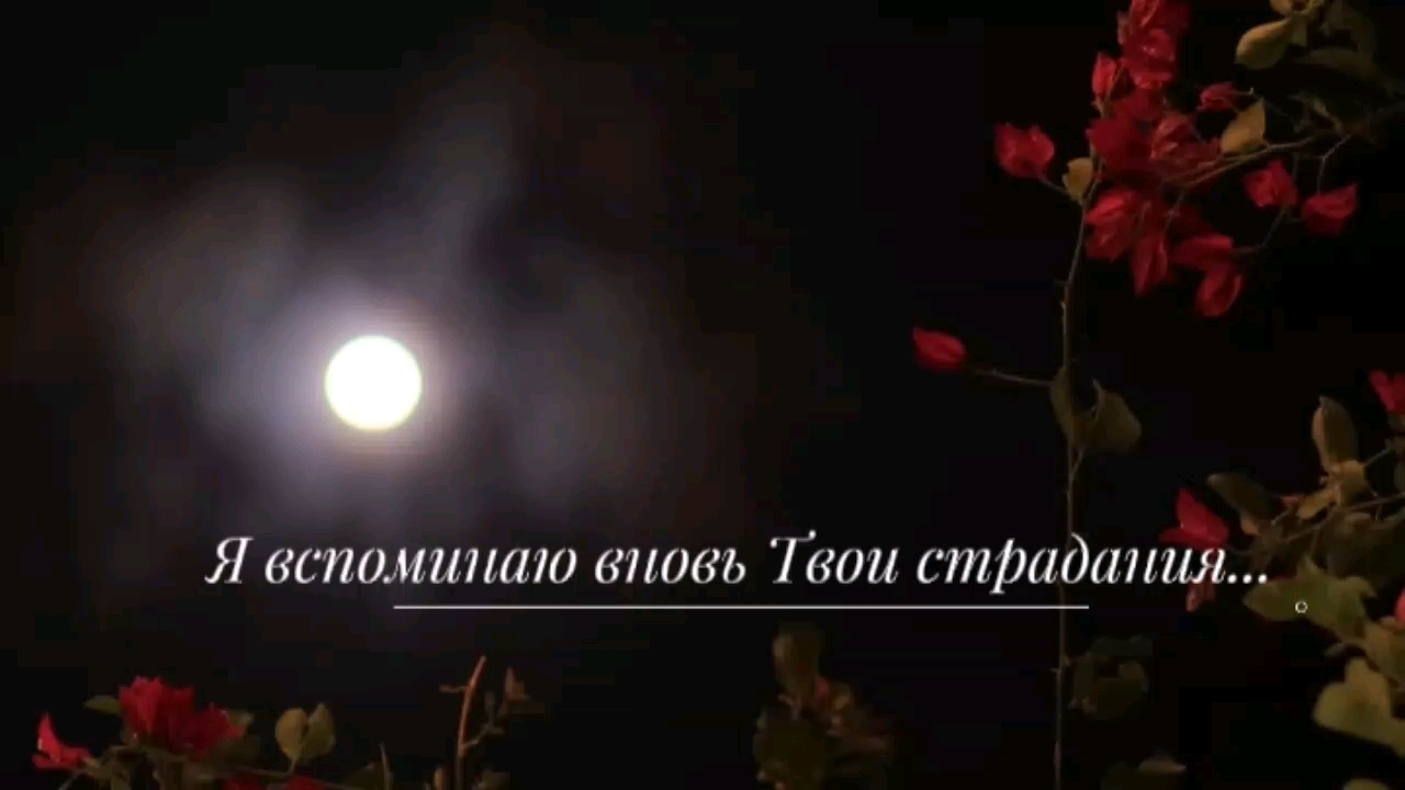 Я ВСПОМИНАЮ ВНОВЬ ТВОИ СТРАДАНИЯ...