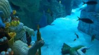 Подводный мир в Legoland Dubai, Дубай