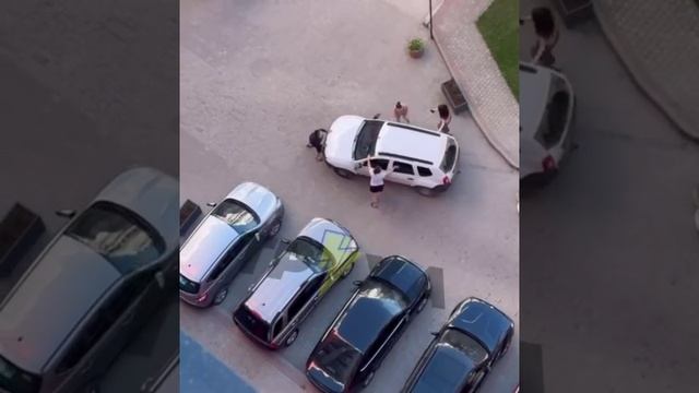 🔴Жинки во Львове пытались остановить ТЦК🔴