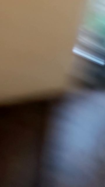 20250501_191453.mp4