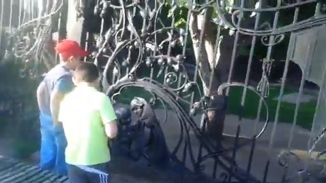 Забор