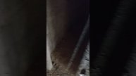 Новый дом 100 м2, буду делать отопление и водоснабжение, видео до начала работ.