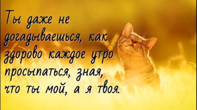 Доброе утро, любимый мой❤️❤️❤️ С добрым утром! Целую тебя и люблю!