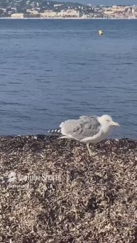 Приятные встречи