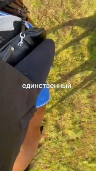единственный минус 😂 #конныйспорт#кони#верховая_езда#лошади#horses#horse#horserider#horseriders#pl
