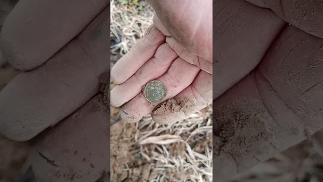 VID_20250327_124110_912.mp4