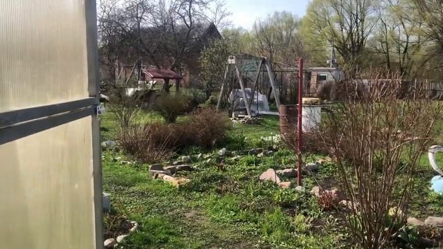 Какие овощи растут у меня в парнике часть 7