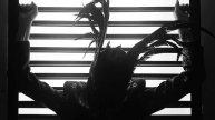 Борис Виноградов grozdev - Камелия Турецкая песня