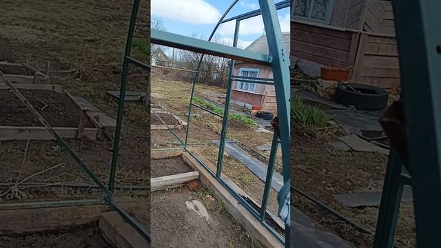 Покрасила дуги на теплицы, краской по ржавчине. смотрится отлично.