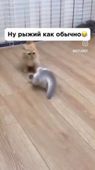 как всегда рыжий
