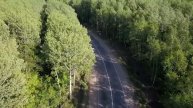 DJI MAvic Khabarovsk forest road | DJI Mavic лесная дорога в Хабаровске