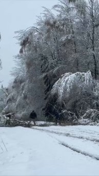 ❄️Дорога от Талдома до Жестылева под Дмитровом❄️