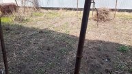Освобождаем землю под цветник